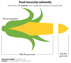Food Insecurity Discussion