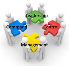 Organisations Leadership and Management