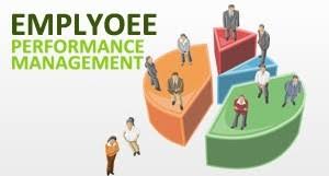 Employee Performance Management and Development