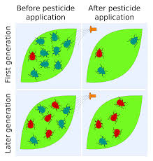 Pesticides and resistance