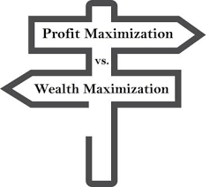 Maximizing shareholder wealth or maximizing profits
