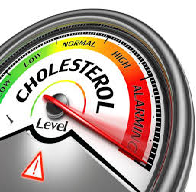 Average Cholesterol Intake Essay Paper