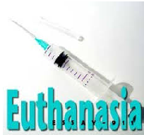 Euthanasia Should Be Legalized Research Paper