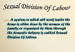 Gender Sexual Divisions of Labor and Divisions