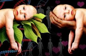 Nature v Nurture Effects on Human Development