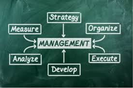 Management skills and competencies