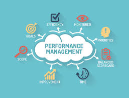 Ideal performance management systems