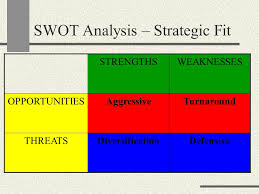 Strategic Fit (SWOT) Analysis