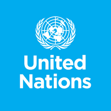 Essay about United Nations