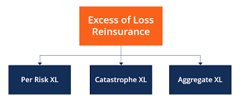 Excess of Loss Insurance - Overview, Purpose, and Types